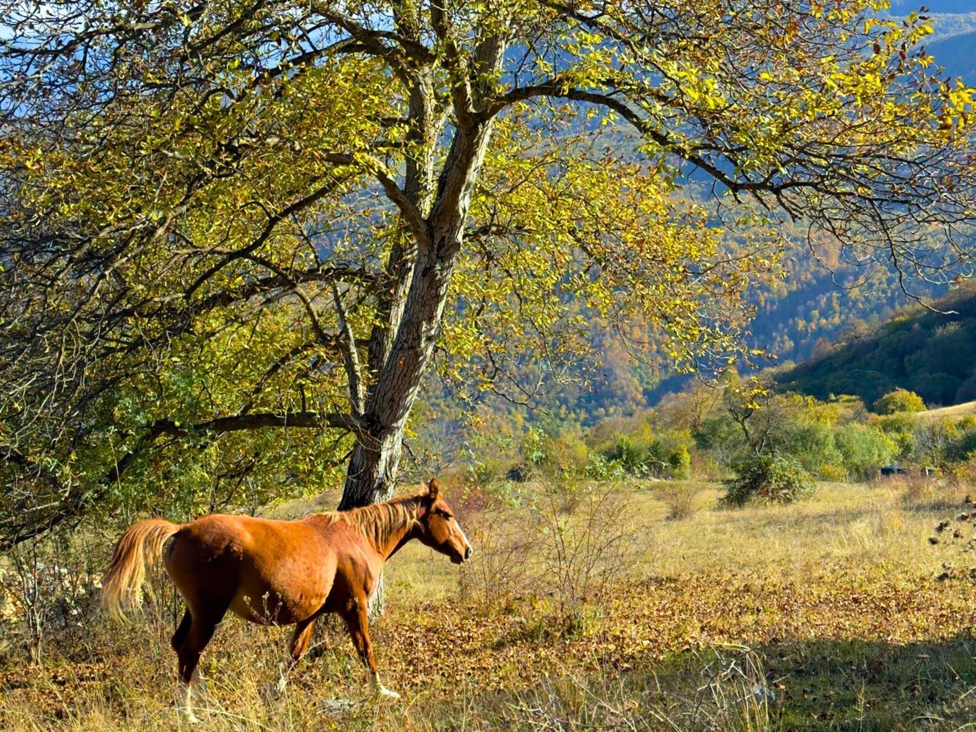 Kanach tun Yenokavan Exterior foto